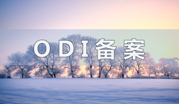 ODI權(quán)益登記是什么？